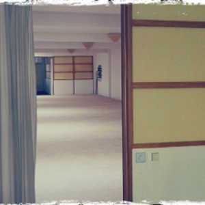 dojo tenshin
