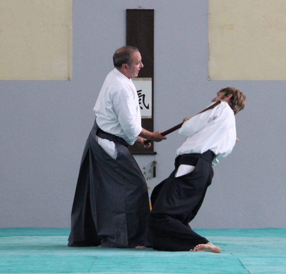 art martial art martial