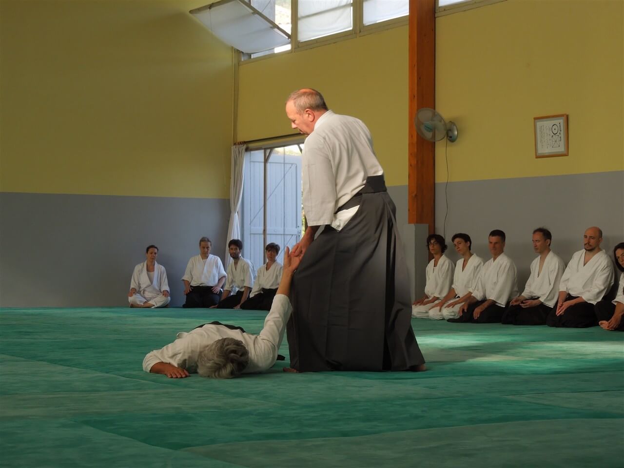 regis soavi article violence