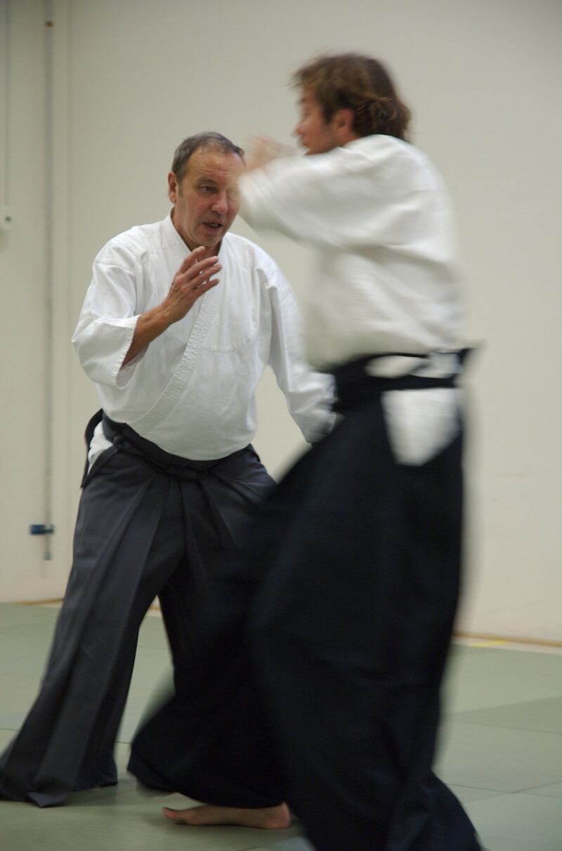 regis soavi aikido fudoshin