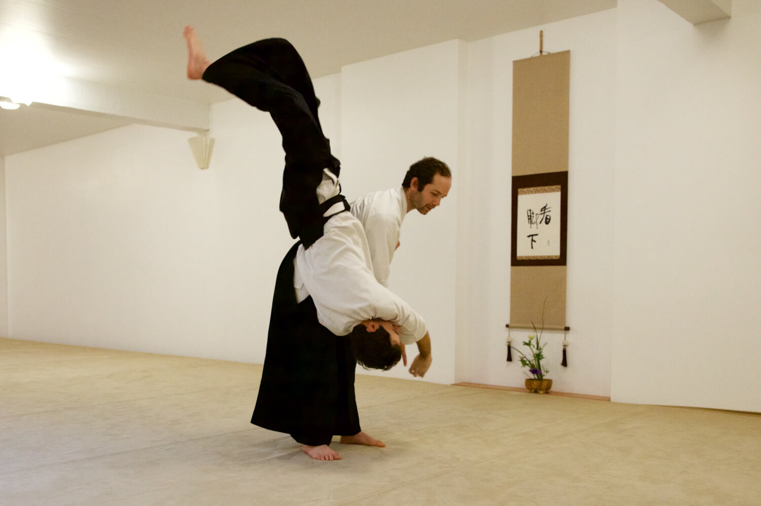 nage waza